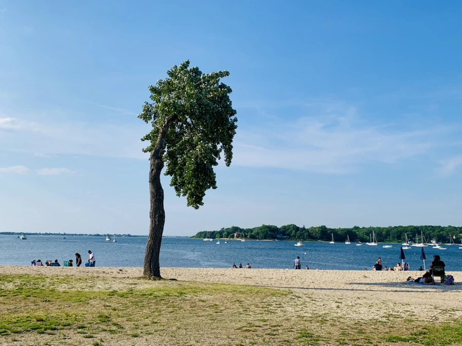 IMG_1270.jpg?type=w966