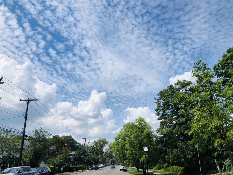 IMG_5253.jpg?type=w966