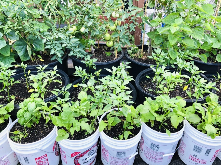 IMG_4418.jpg?type=w966