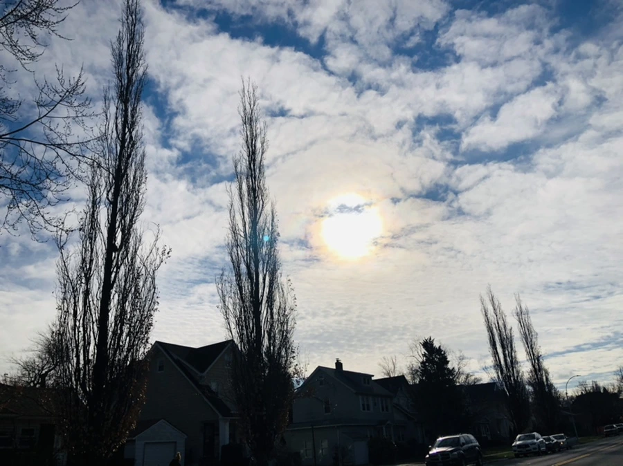 IMG_9851.jpg?type=w966