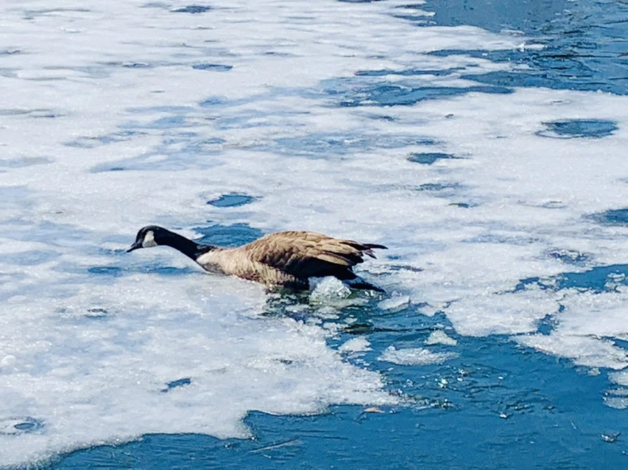 IMG_6879.jpg?type=w966