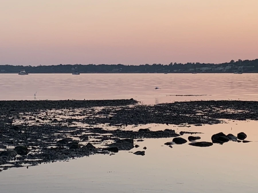 IMG_0071.jpg?type=w966