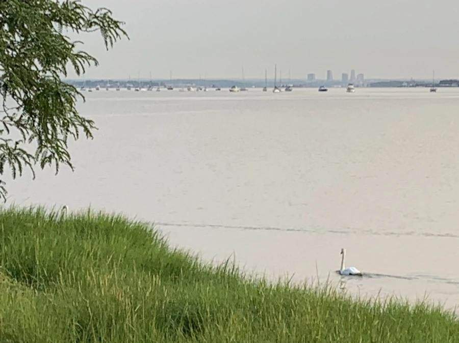 IMG_4757.jpg?type=w966