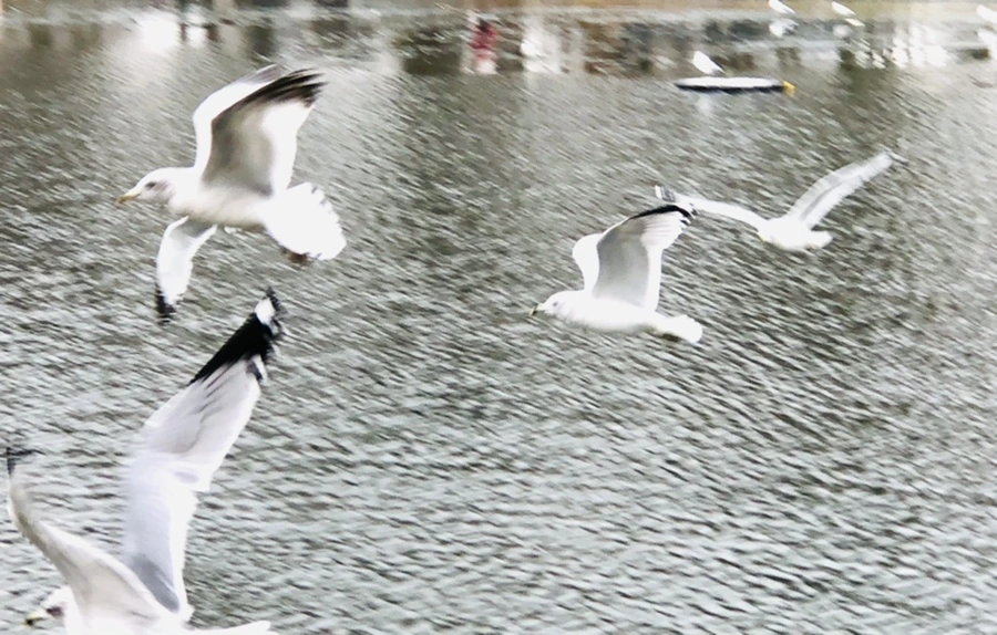 IMG_3297.jpg?type=w966