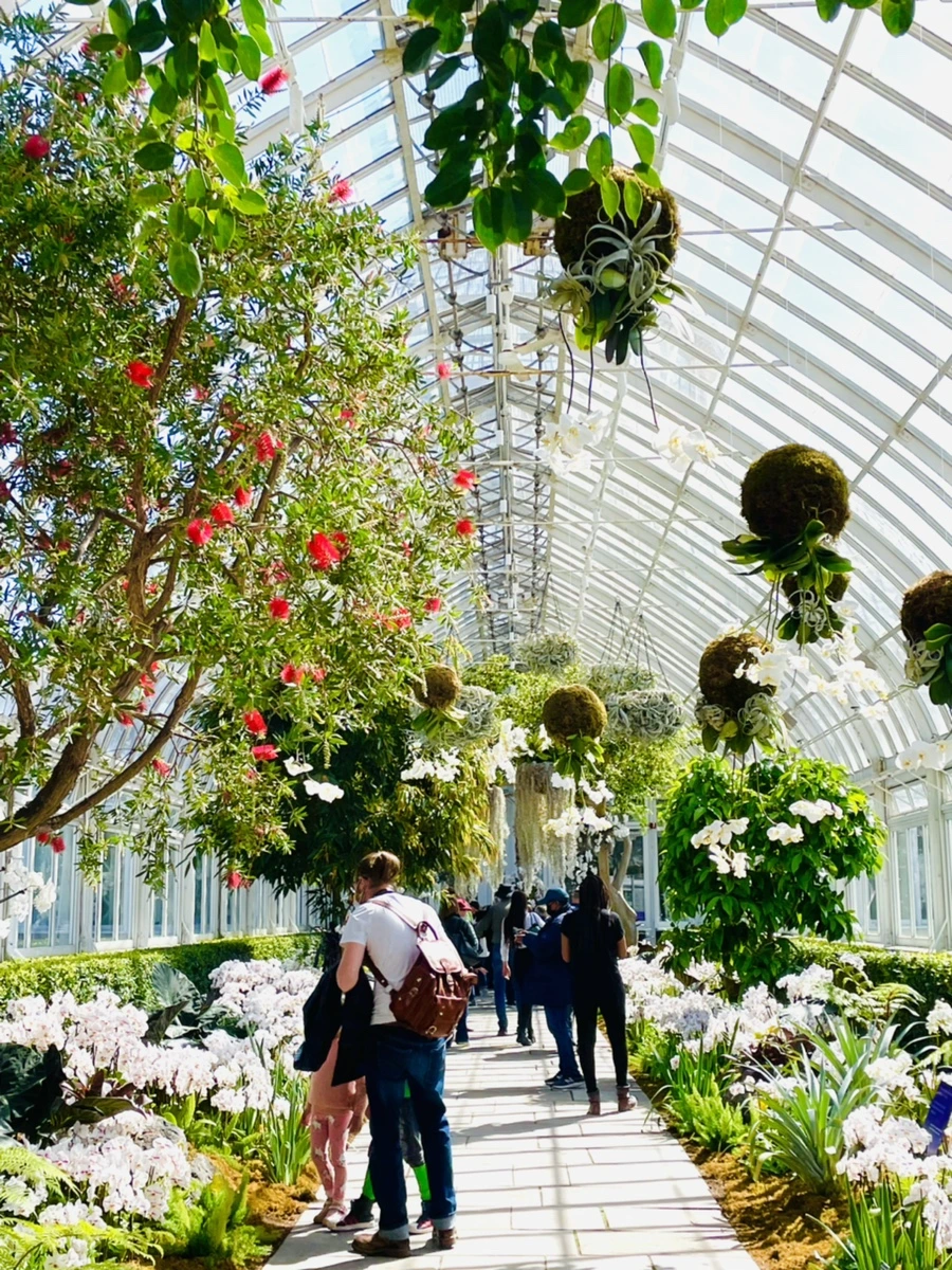 IMG_6479.jpg?type=w966