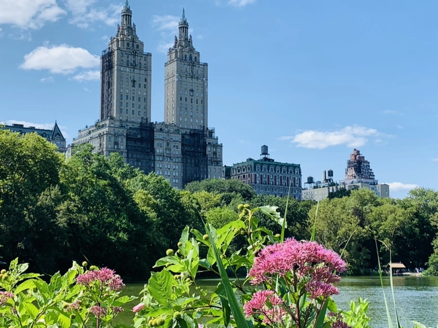 IMG_4455.jpg?type=w966