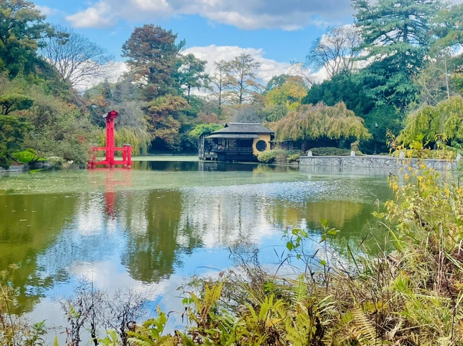 IMG_0190.jpg?type=w966