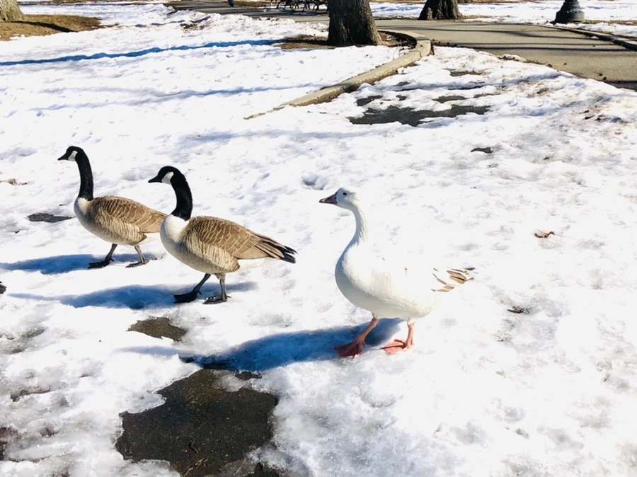 IMG_4942.jpg?type=w966