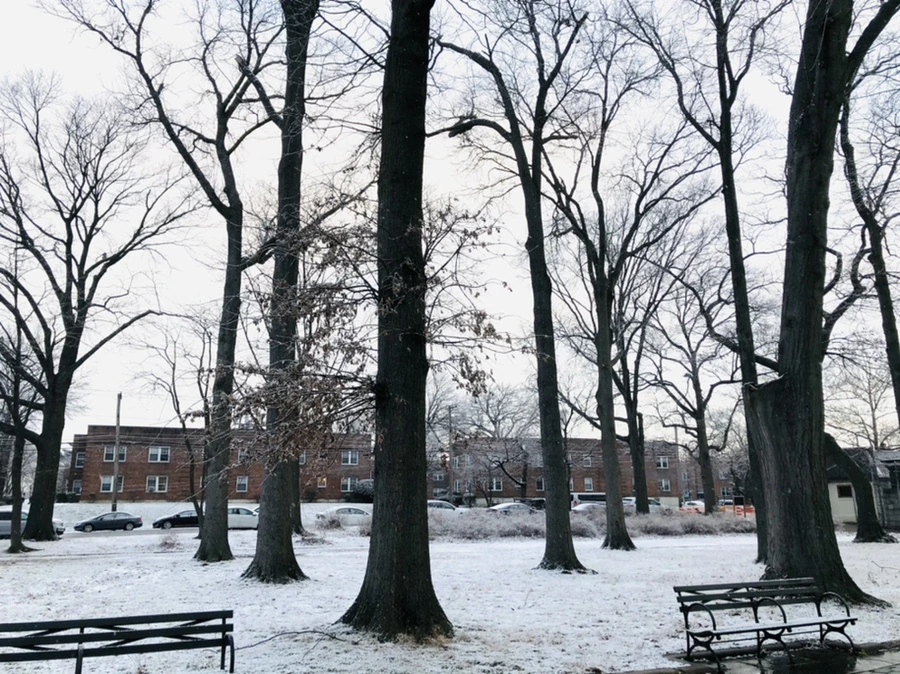 IMG_4450.jpg?type=w966