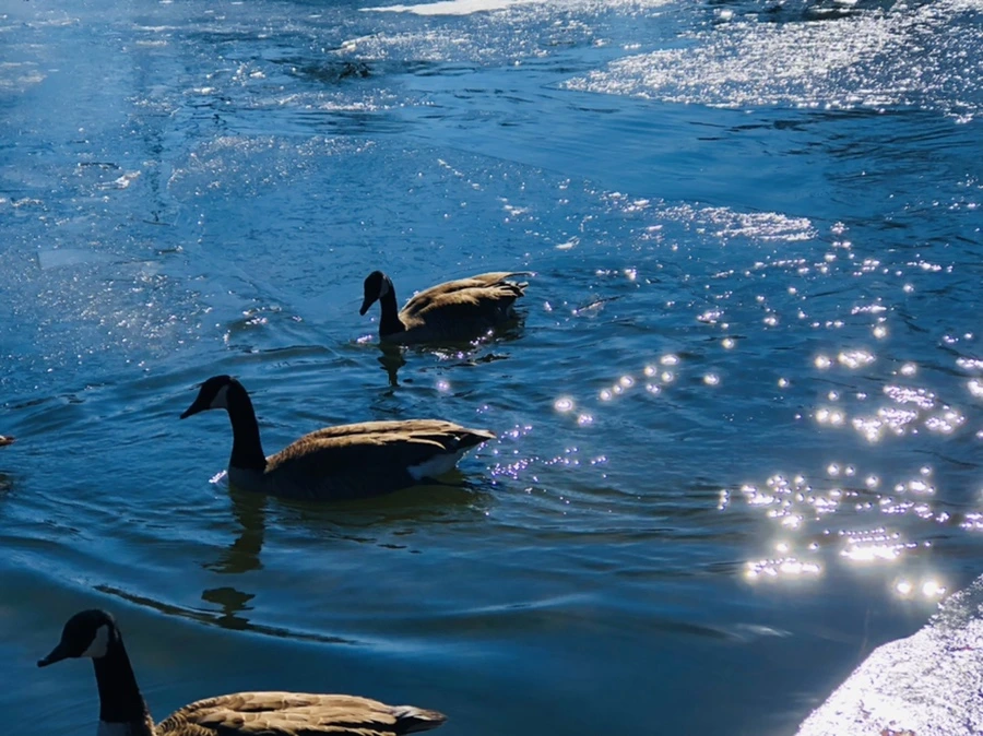 IMG_7758.jpg?type=w966