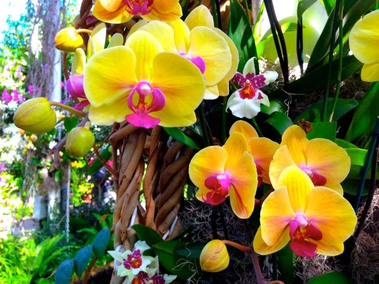 IMG_2946.JPG?type=w2