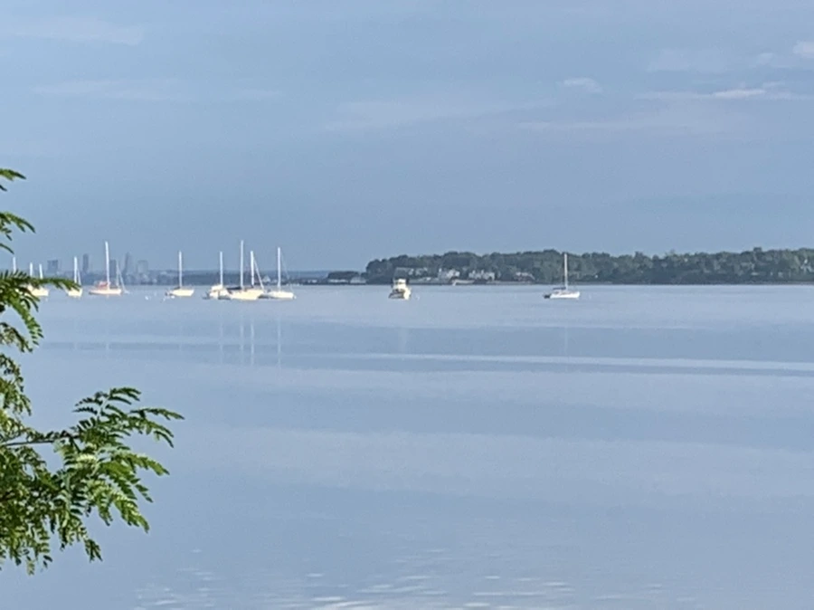 IMG_7763.jpg?type=w966