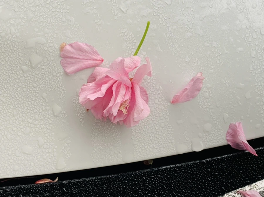 IMG_9653.jpg?type=w966