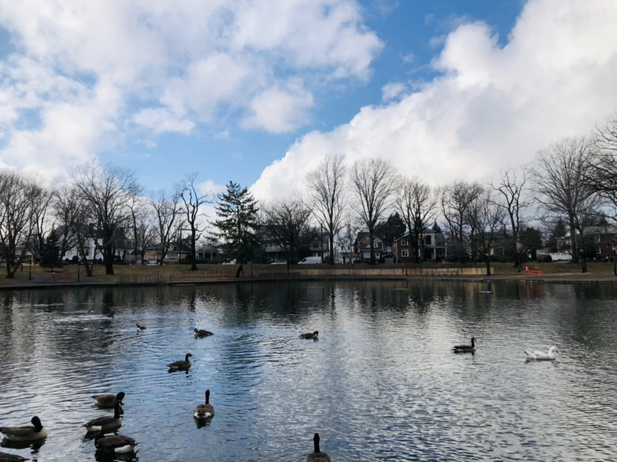 IMG_3497.jpg?type=w966