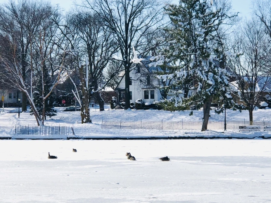 IMG_1306.jpg?type=w966