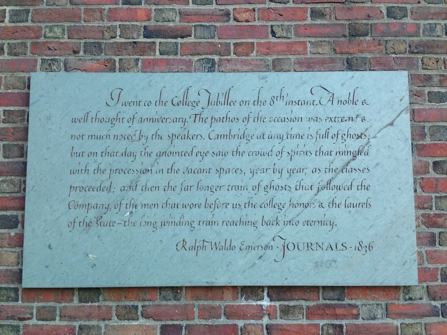 IMG_3747.JPG?type=w1