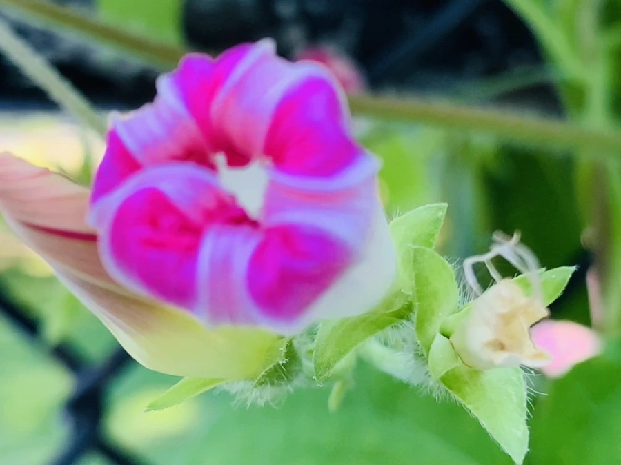 IMG_7644.jpg?type=w966