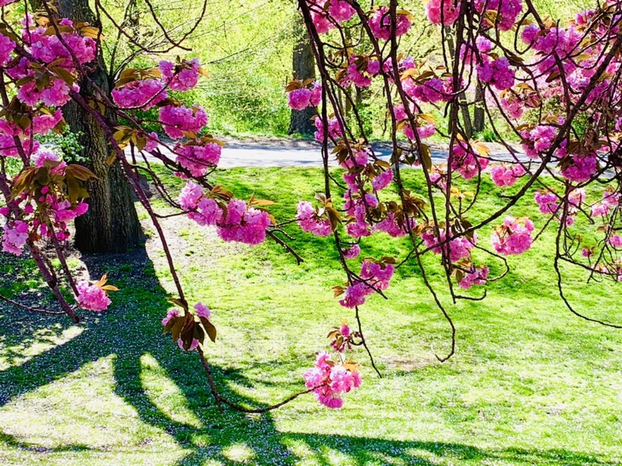 IMG_5973.jpg?type=w966