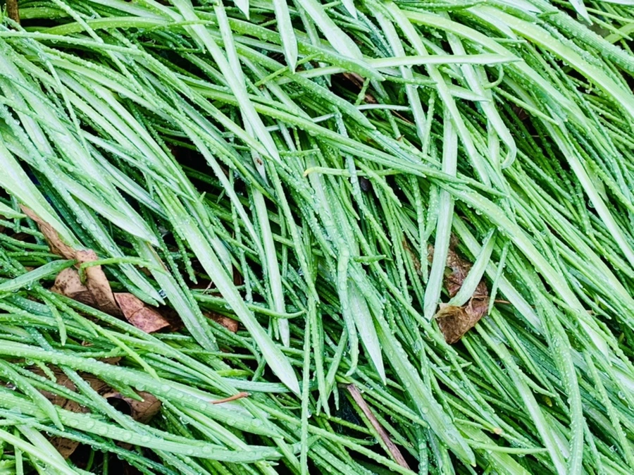 IMG_5343.jpg?type=w966