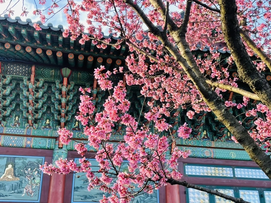 IMG_6098.jpg?type=w966