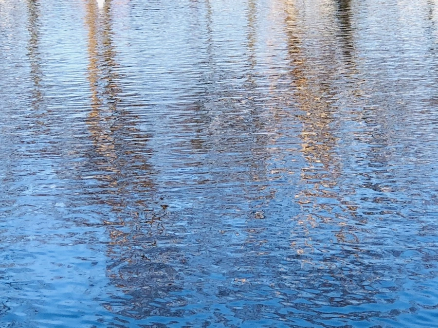 IMG_9748.jpg?type=w966