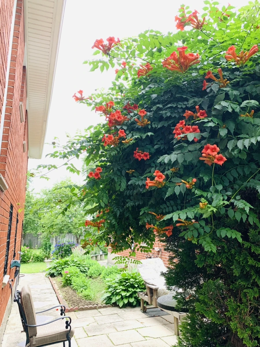 IMG_7108.jpg?type=w966