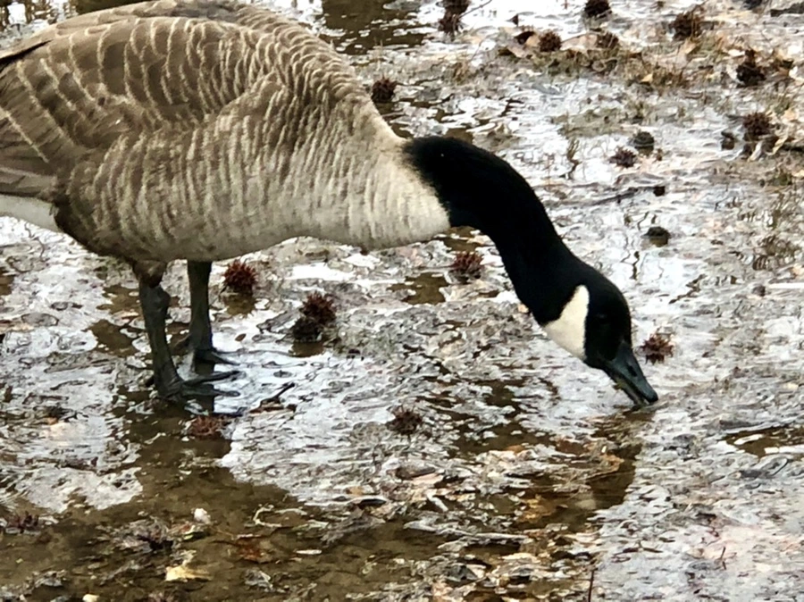 IMG_5689.jpg?type=w966