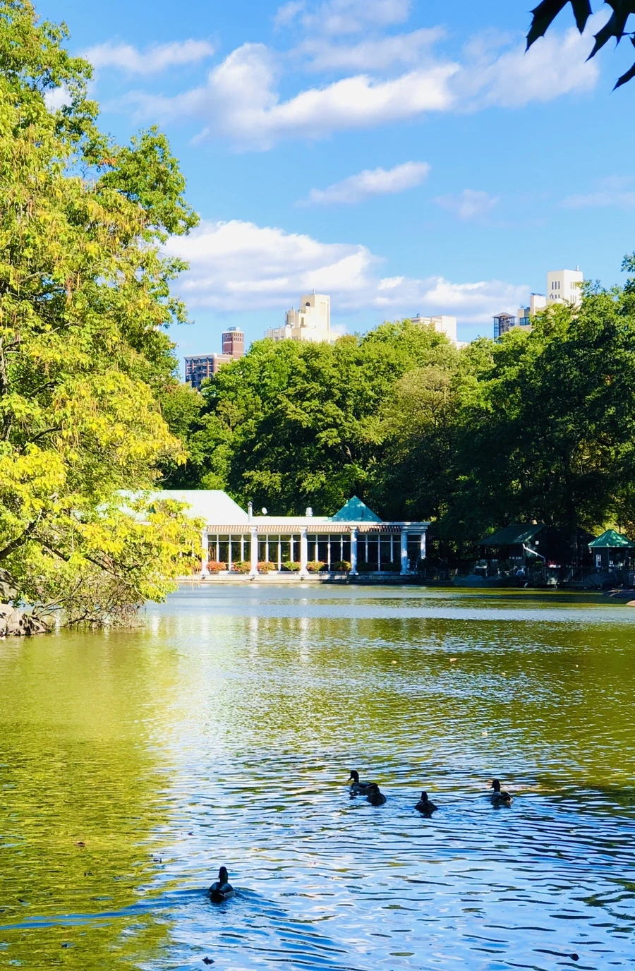 IMG_1665.jpg?type=w966