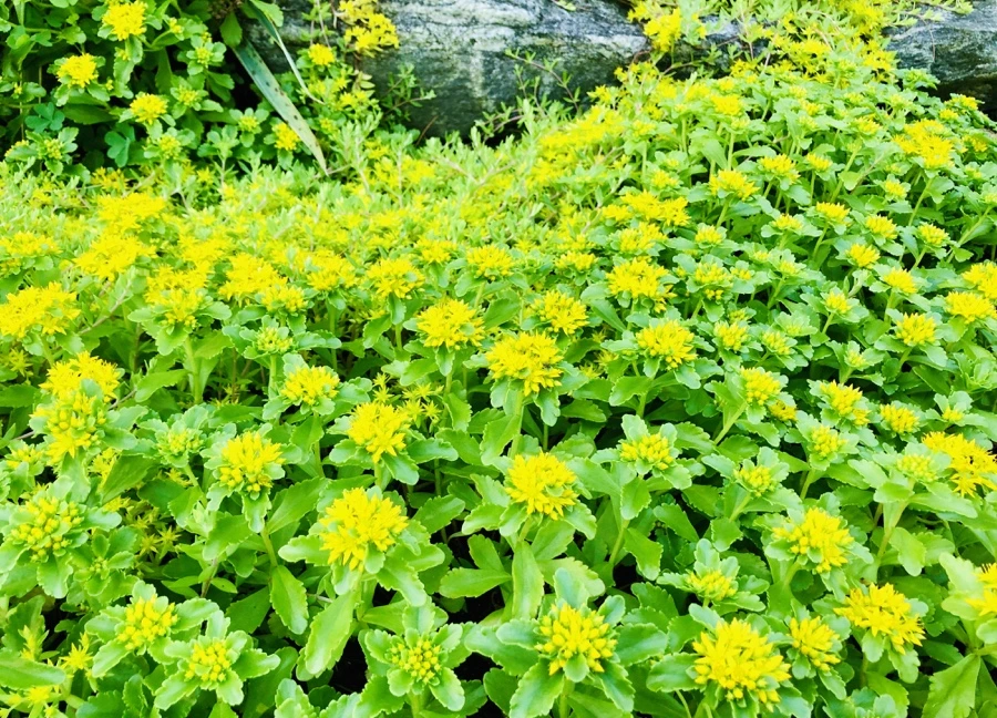 IMG_8389.jpg?type=w966