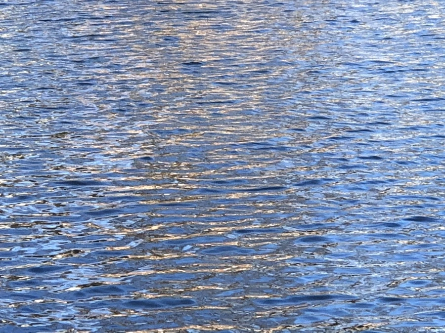 IMG_3833.jpg?type=w966