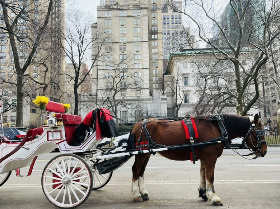 IMG_3903.jpg?type=w966