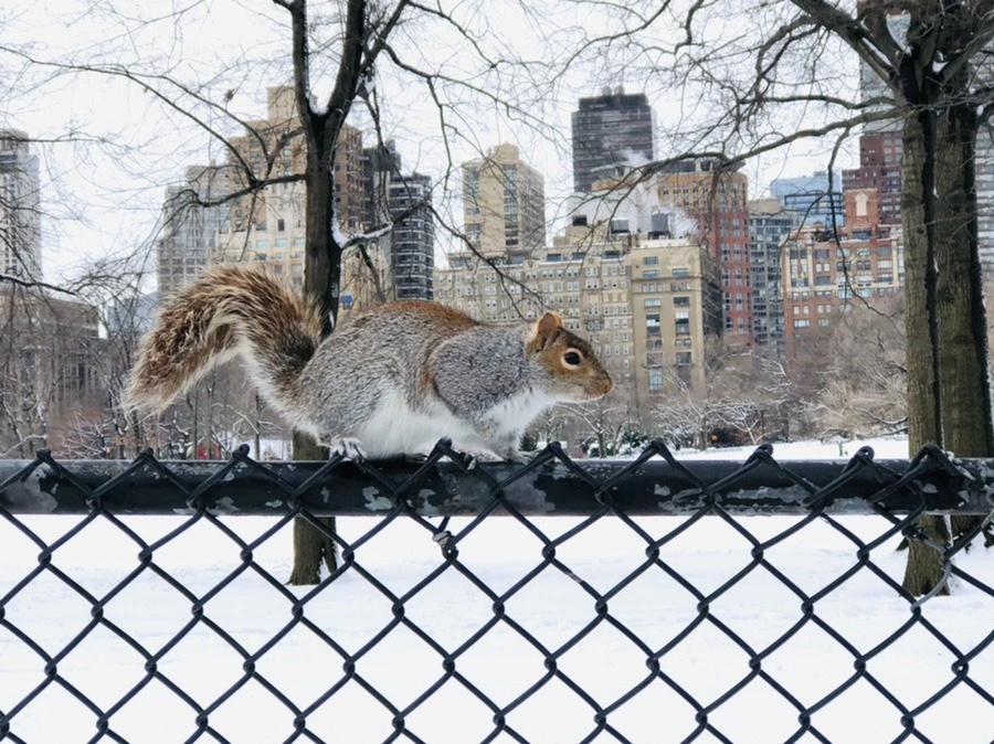 rGjKdDmPt6vybjD6YPLYbQlfqqg