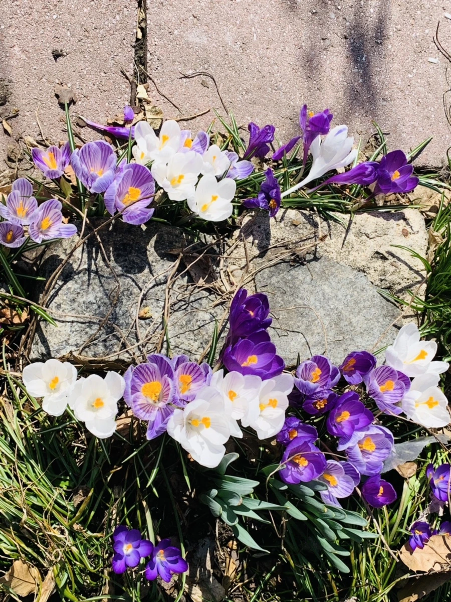 IMG_2901.jpg?type=w966