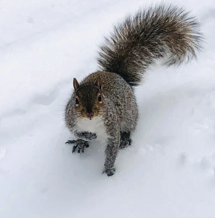 IMG_9248.jpg?type=w966