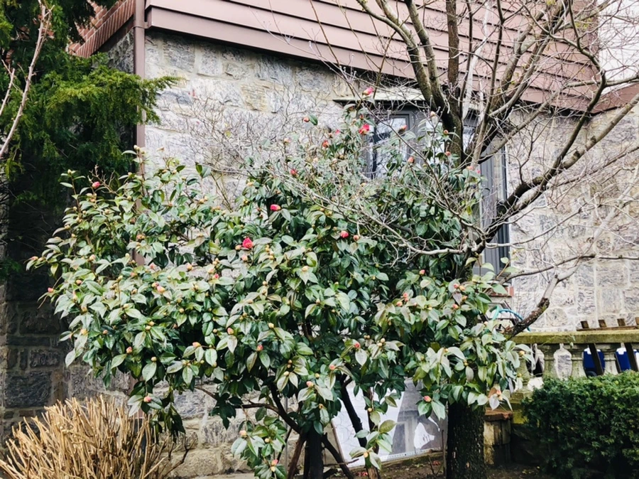 IMG_8590.jpg?type=w966