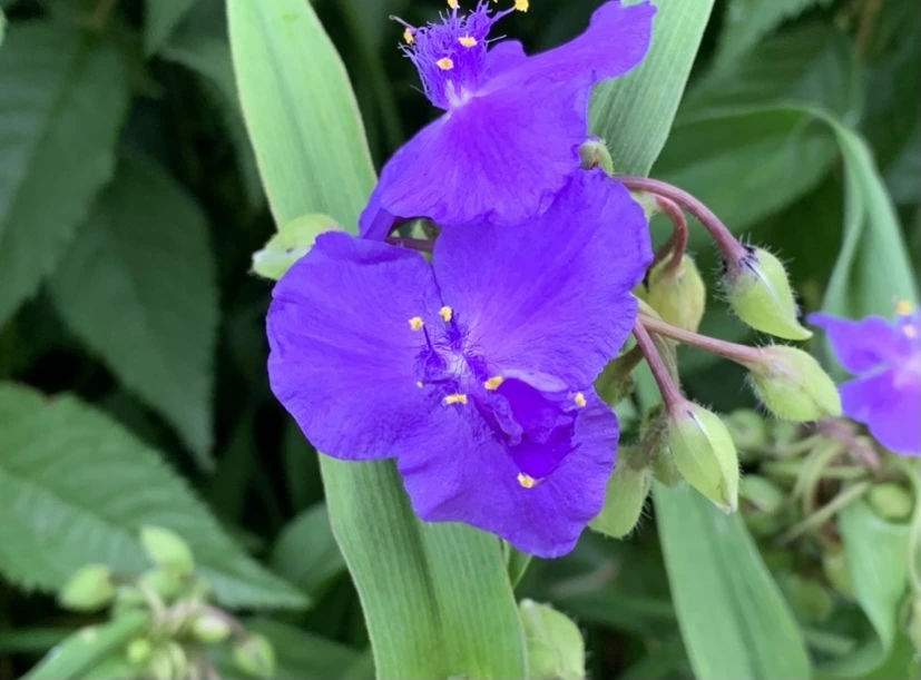 IMG_5569.jpg?type=w966