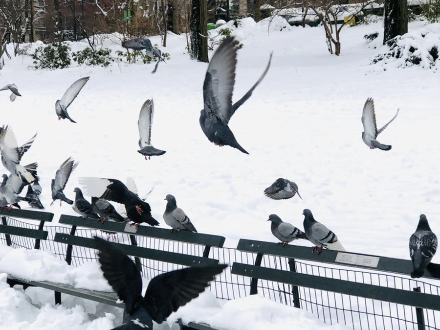 IMG_9135.jpg?type=w966