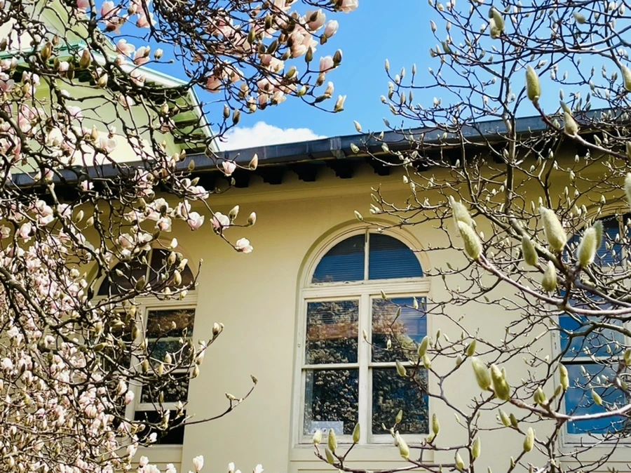 IMG_7082.jpg?type=w966