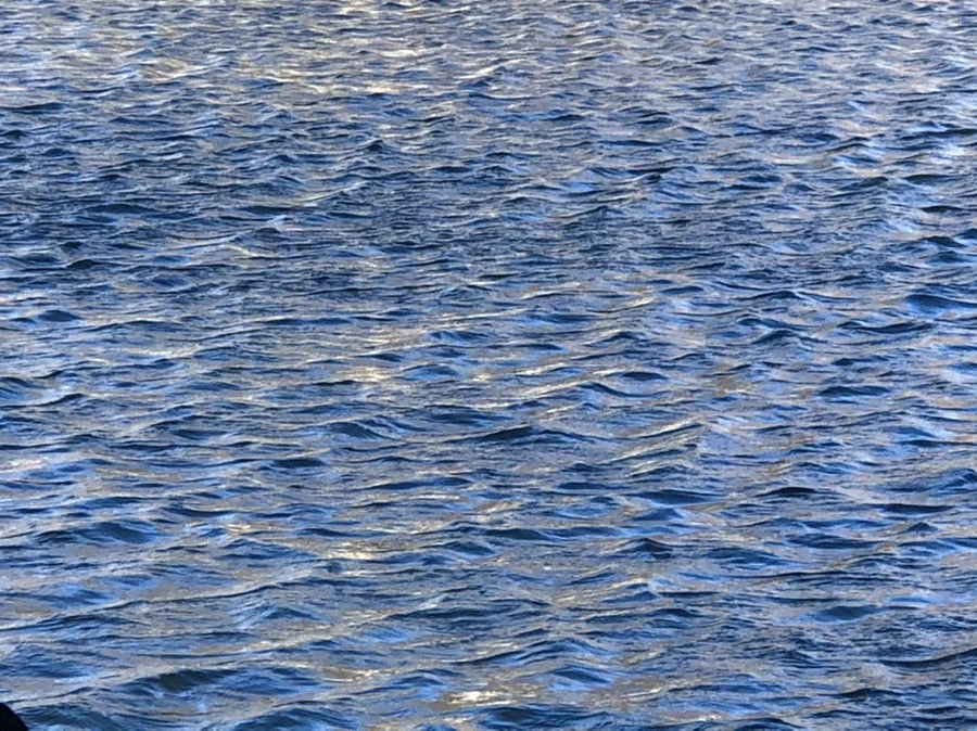 IMG_3747.jpg?type=w966