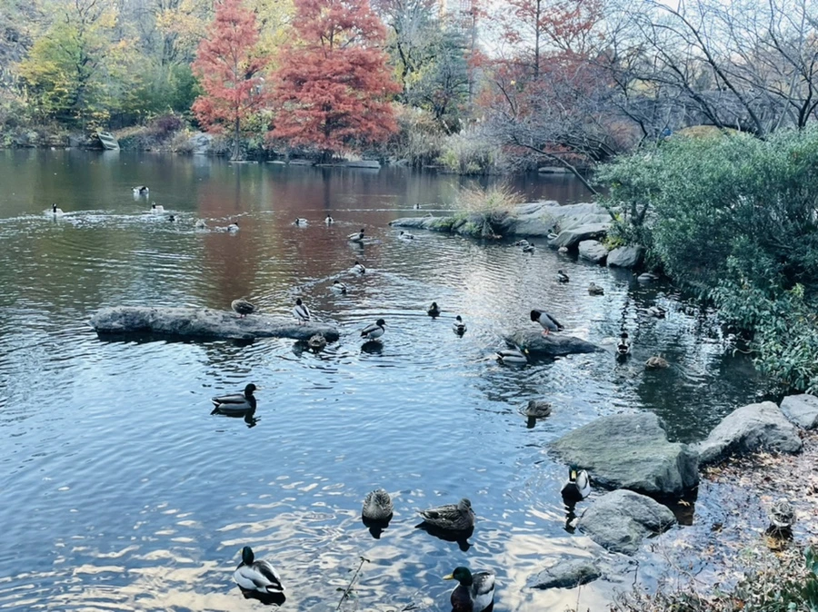 IMG_5016.jpg?type=w966