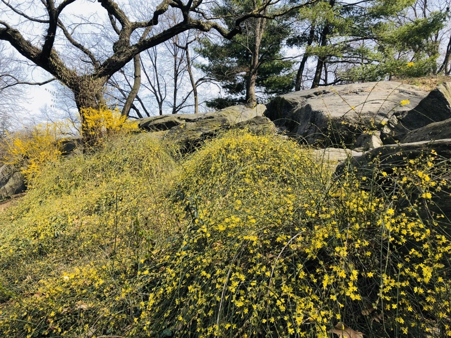 IMG_6456.jpg?type=w966