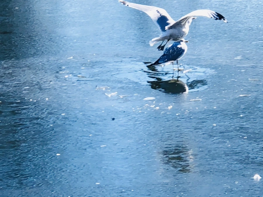 IMG_7743.jpg?type=w966