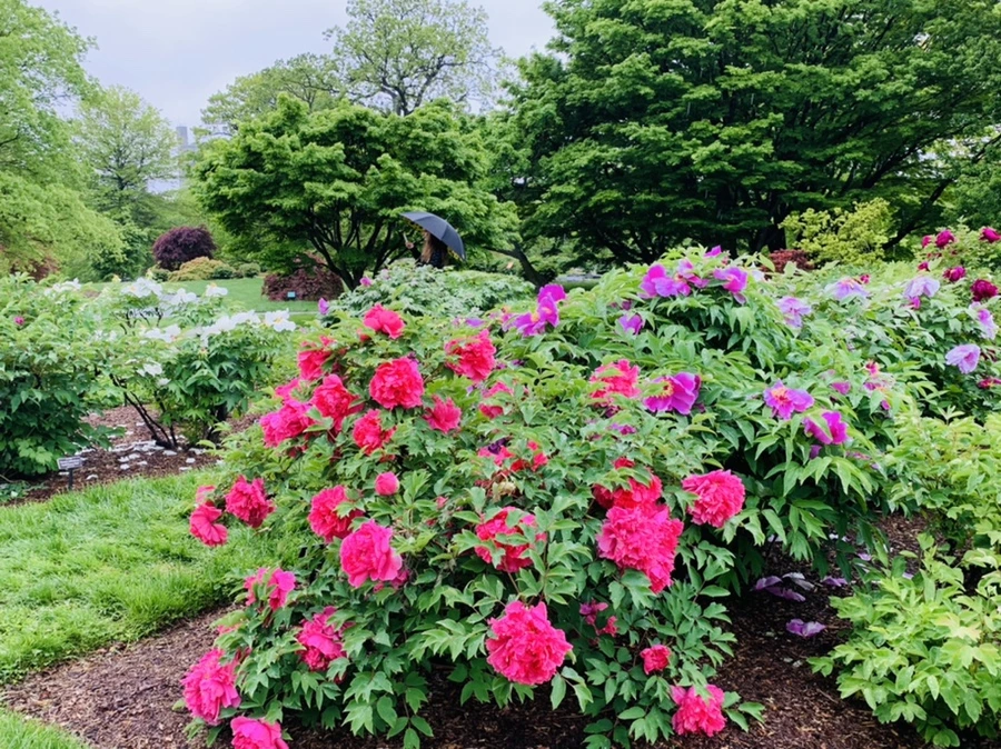 IMG_9967.jpg?type=w966