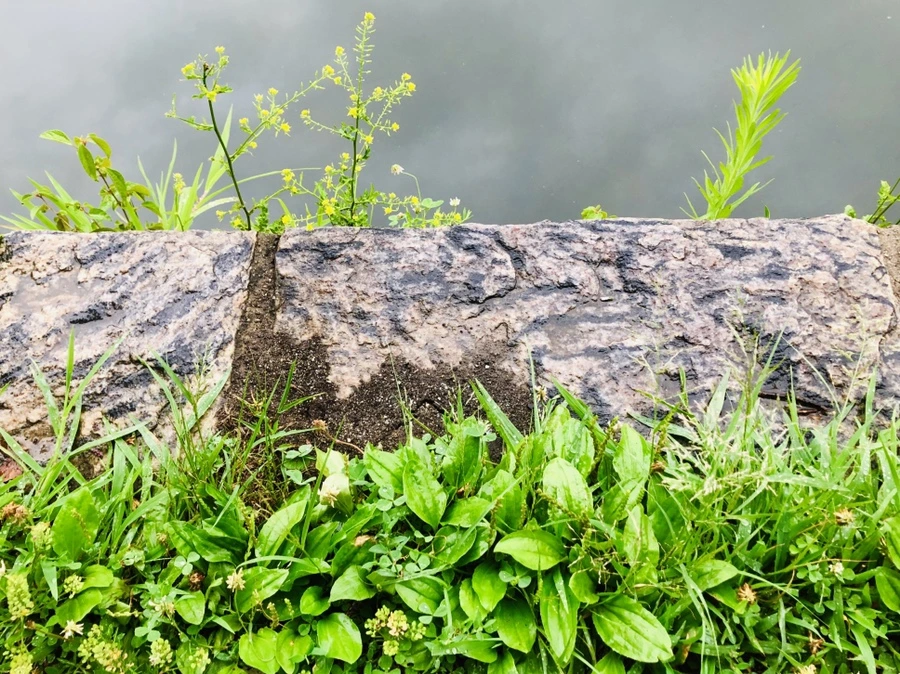 IMG_3217.jpg?type=w966