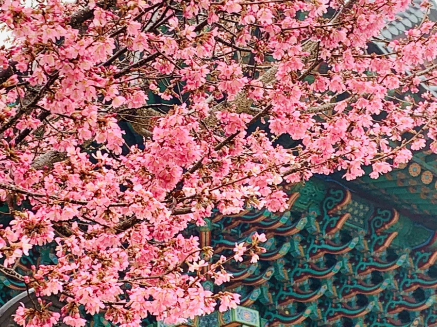 IMG_5258.jpg?type=w966