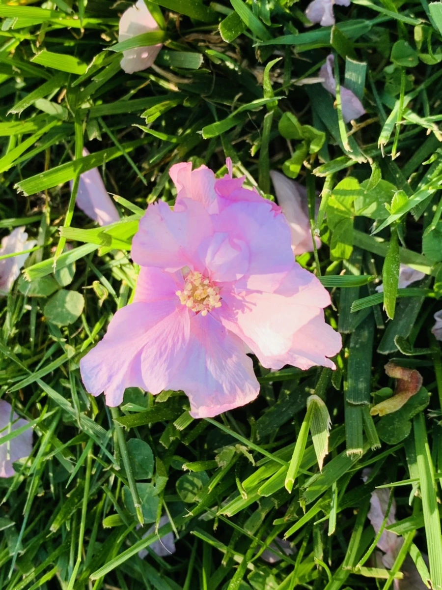 IMG_8389.jpg?type=w966