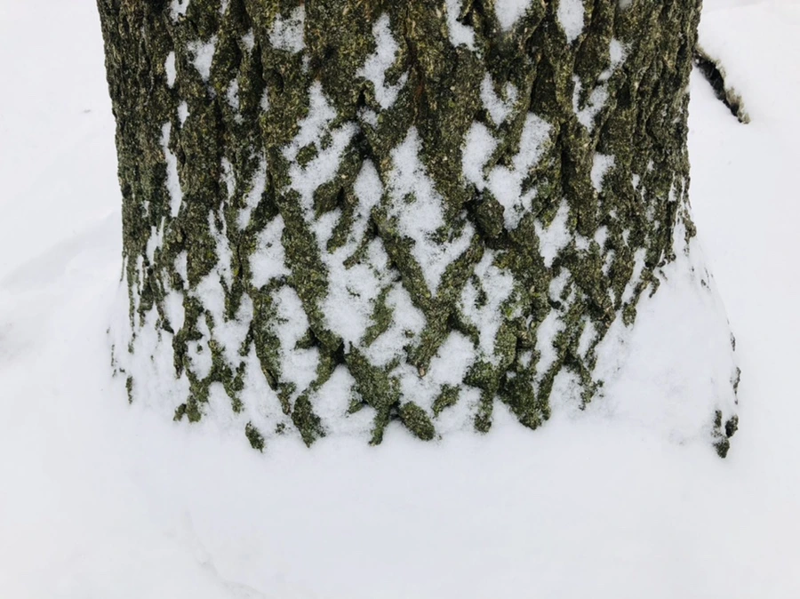 IMG_3318.jpg?type=w966