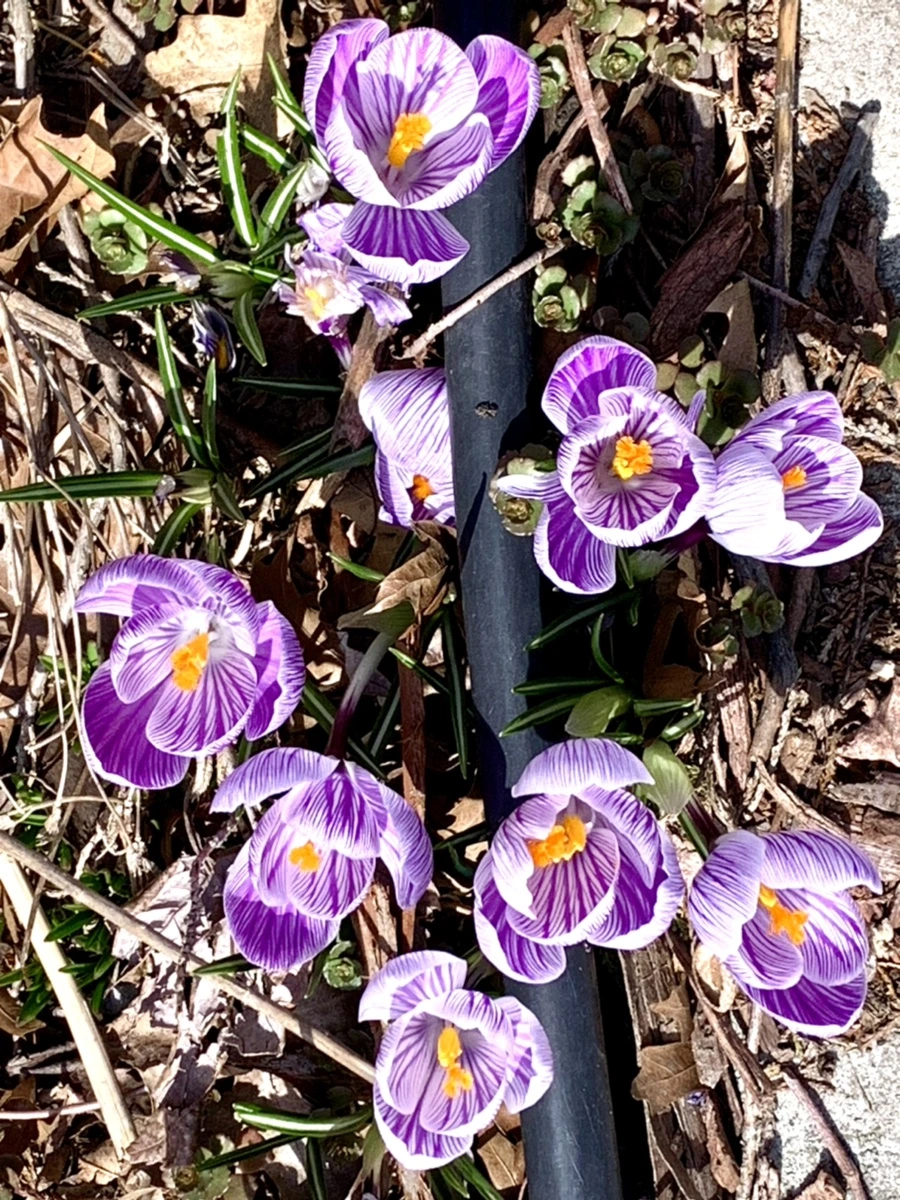 IMG_3284.jpg?type=w966