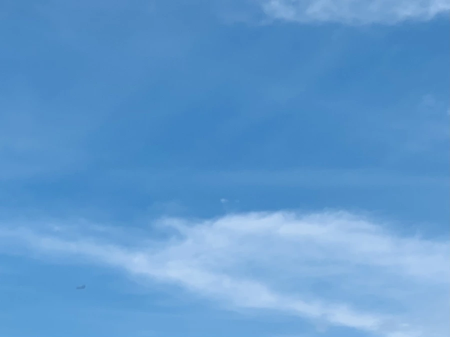 IMG_7417.jpg?type=w966