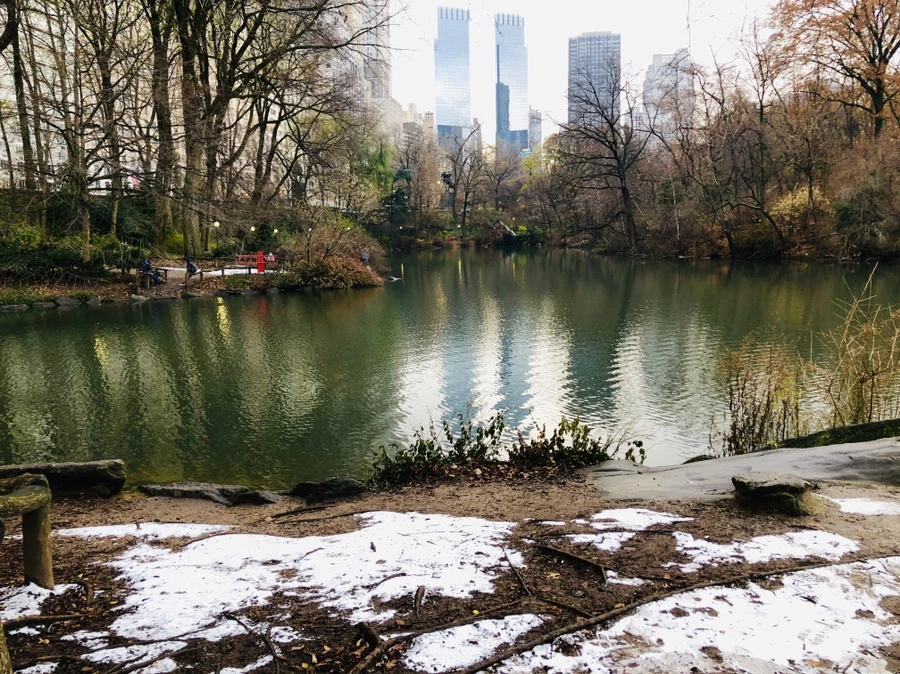 IMG_6274.jpg?type=w966